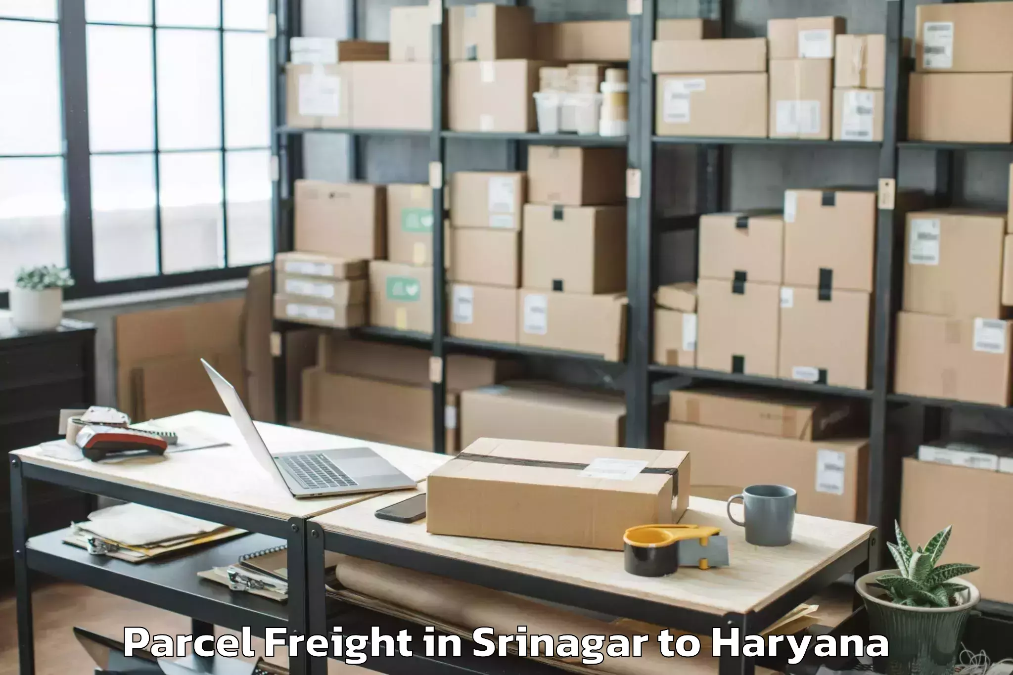 Book Srinagar to Uklana Parcel Freight Online